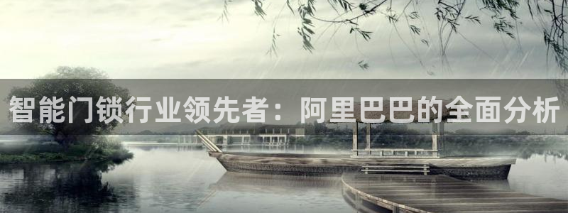 金年会体育官方下载：智能门锁行业领先者：阿里巴巴的全面分析