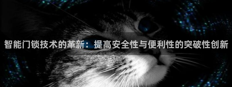 金年会中国金年会登录：智能门锁技术的革新：提高安全性与便利性