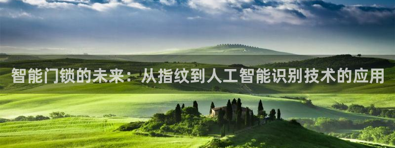 金年会官网app：智能门锁的未来：从指纹到人工智能识别技术的