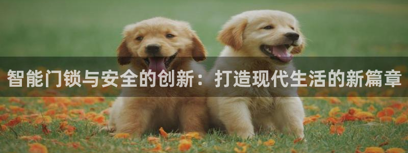 金年会在线：智能门锁与安全的创新：打造现代生活的新篇章