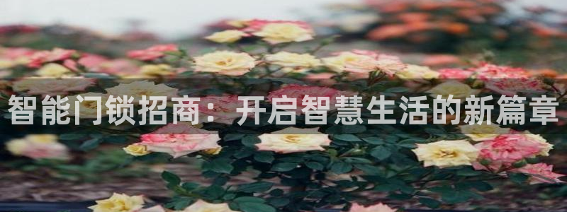 金年会代理：智能门锁招商：开启智慧生活的新篇章