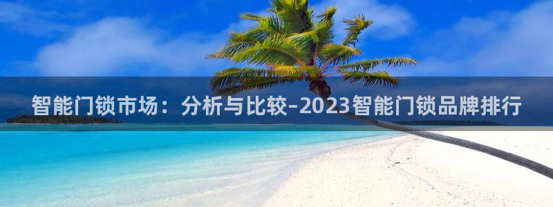 金年会提款慢：智能门锁市场：分析与比较–2023智能门锁品牌