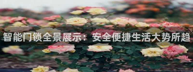 金年会是啥：智能门锁全景展示：安全便捷生活大势所趋