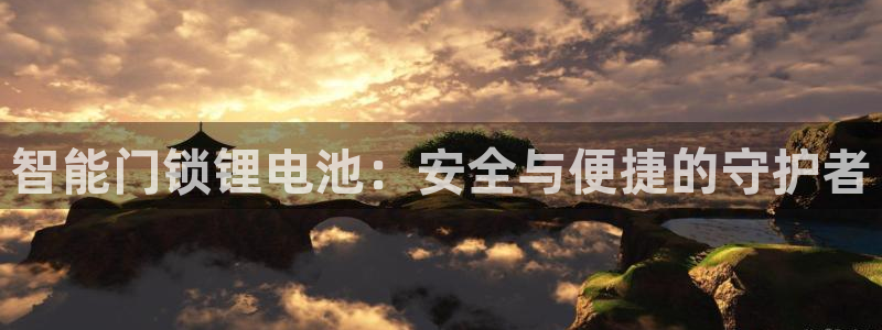 金年会信誉：智能门锁锂电池：安全与便捷的守护者