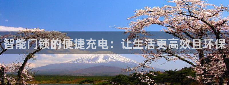 金年会APP黑钱：智能门锁的便捷充电：让生活更高效且环保