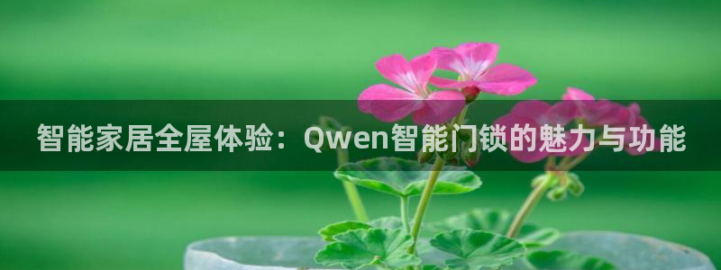 金年会彩金：智能家居全屋体验：Qwen智能门锁的魅力与功能