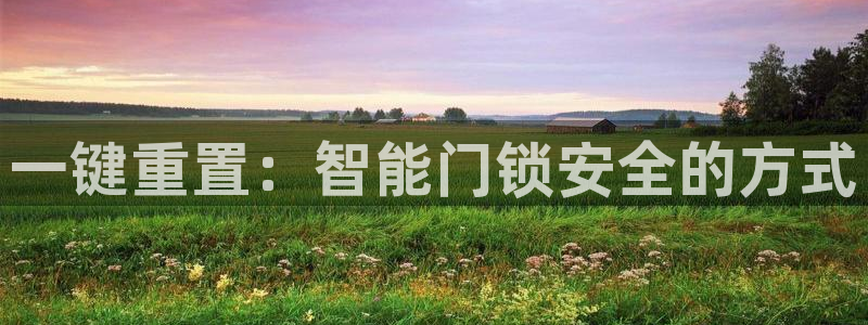 金哥年会：一键重置：智能门锁安全的方式