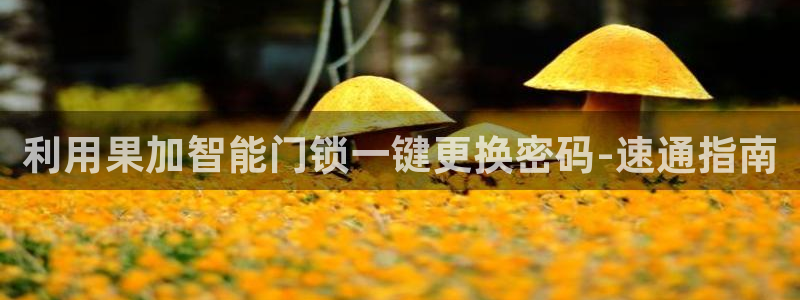 金年会体育：利用果加智能门锁一键更换密码-速通指南