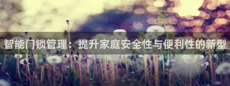 金年会取款：智能门锁管理：提升家庭安全性与便利性的新型