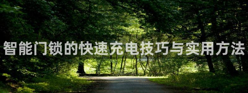 金年会平台游戏：智能门锁的快速充电技巧与实用方法