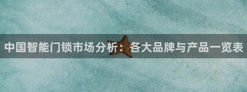 金年会网页：中国智能门锁市场分析：各大品牌与产品一览表
