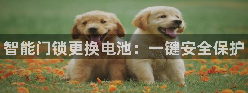 金年会com：智能门锁更换电池：一键安全保护