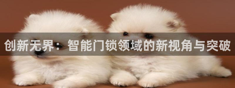 金年会com：创新无界：智能门锁领域的新视角与突破