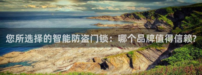 金年会官方网：您所选择的智能防盗门锁：哪个品牌值得信赖?