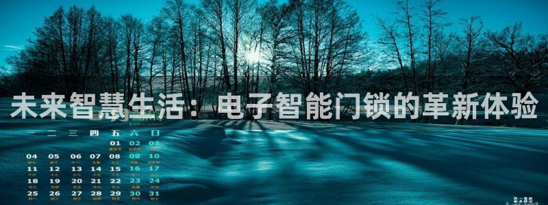 金年会活动策划：未来智慧生活：电子智能门锁的革新体验