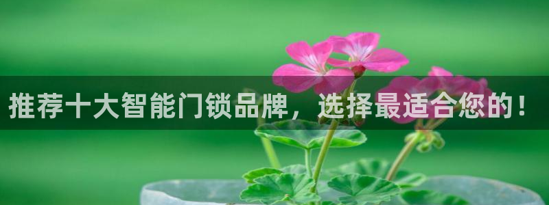 金年会app：推荐十大智能门锁品牌，选择最适合您的！
