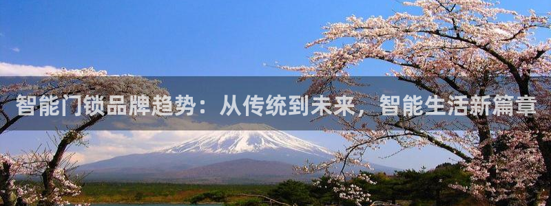 金年会软件之家下载：智能门锁品牌趋势：从传统到未来，智能生活