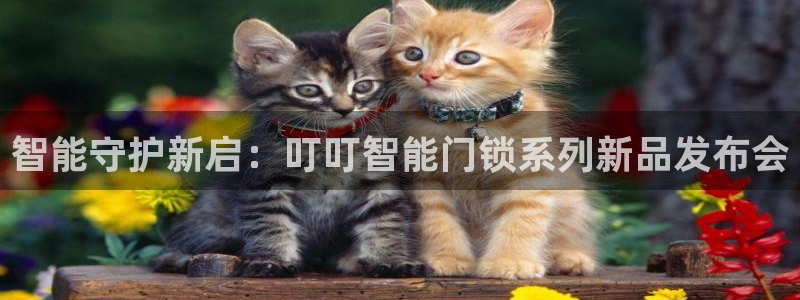 金年会娱乐官网：智能守护新启：叮叮智能门锁系列新品发布会