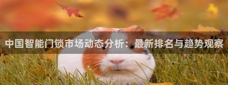 金年会首页登录：中国智能门锁市场动态分析：最新排名与趋势观察