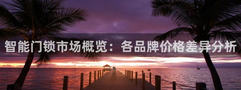 金年会6766澳门联合：智能门锁市场概览：各品牌价格差异分析