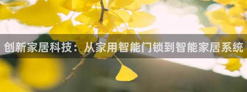 金年会平台游戏：创新家居科技：从家用智能门锁到智能家居系统