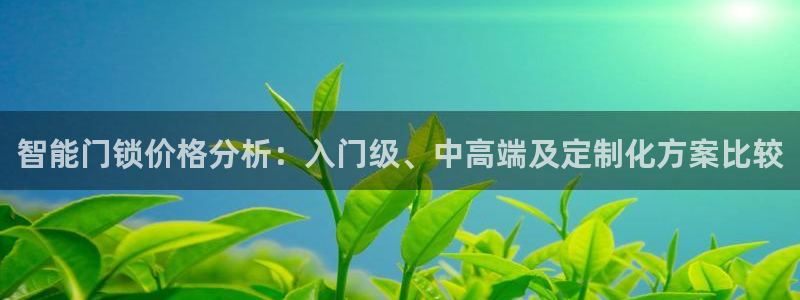 宝金年会：智能门锁价格分析：入门级、中高端及定制化方案比较