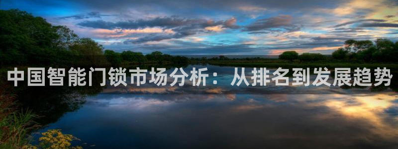 金年会注册：中国智能门锁市场分析：从排名到发展趋势