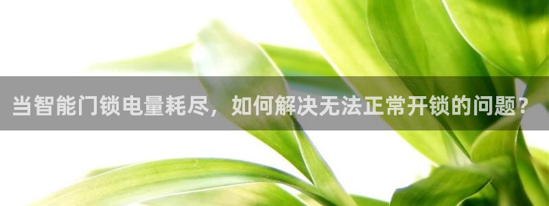 金年会手机网页版登录：当智能门锁电量耗尽，如何解决无法正常开
