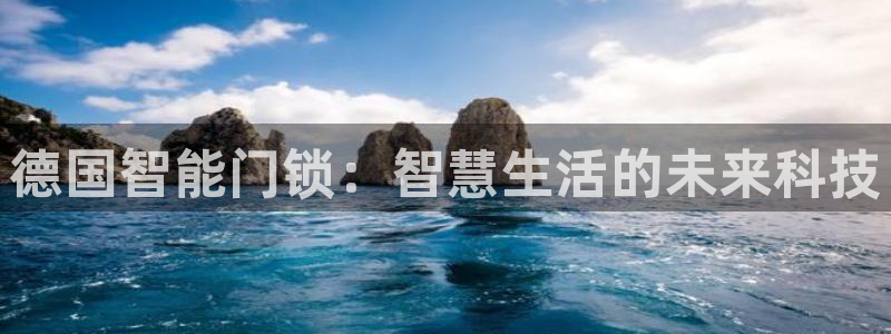 金年会 信誉至上：德国智能门锁：智慧生活的未来科技