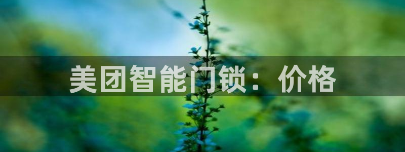 金年会app下载中国金年会：美团智能门锁：价格