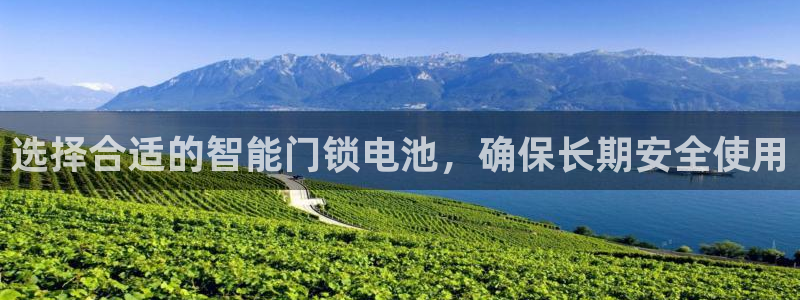 金年会平台：选择合适的智能门锁电池，确保长期安全使用