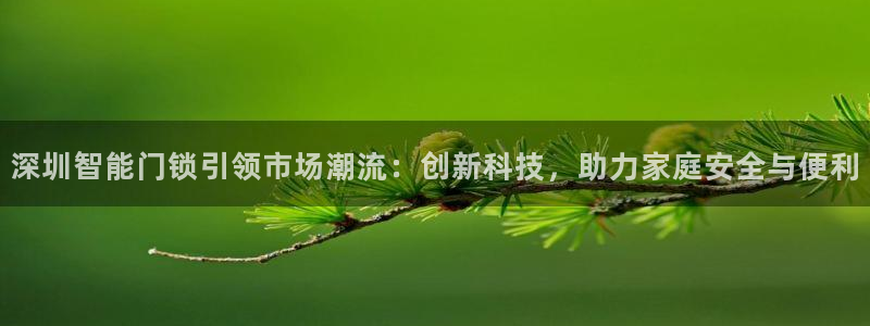 金年会是正规的吗：深圳智能门锁引领市场潮流：创新科技，助力家