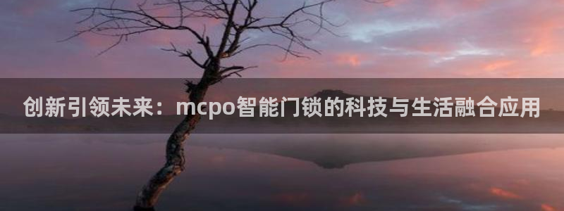 金年会：创新引领未来：mcpo智能门锁的科技与生活融合应用