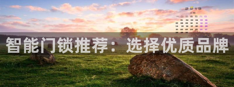 类似金年会：智能门锁推荐：选择优质品牌