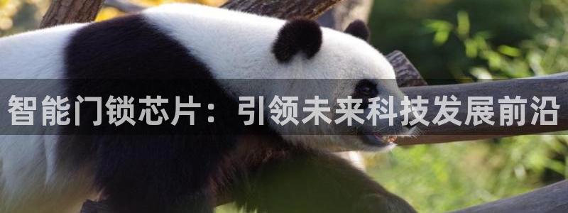 金年会吧：智能门锁芯片：引领未来科技发展前沿