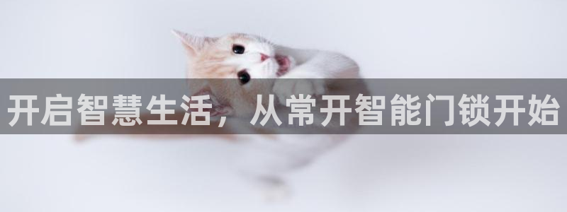 金年会101：开启智慧生活，从常开智能门锁开始