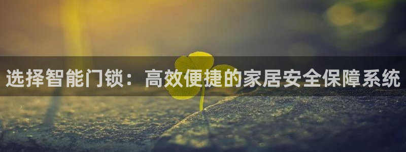 金年会退款：选择智能门锁：高效便捷的家居安全保障系统