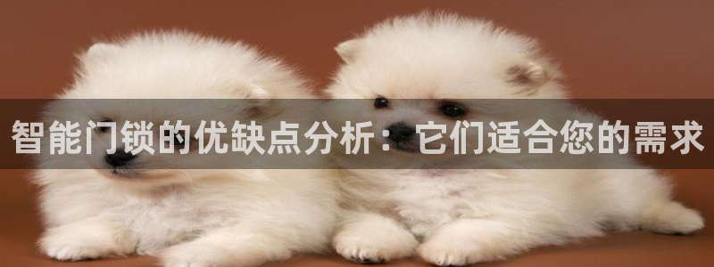 金年会体育官方网站：智能门锁的优缺点分析：它们适合您的需求