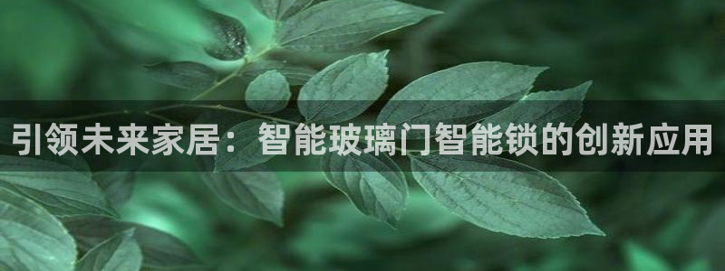 金年会平台登陆：引领未来家居：智能玻璃门智能锁的创新应用