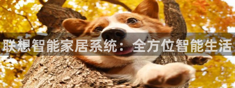 金年会品牌：联想智能家居系统：全方位智能生活