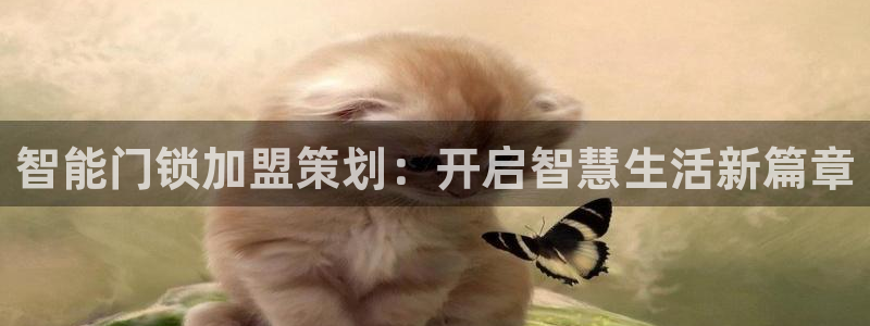 金年会登陆：智能门锁加盟策划：开启智慧生活新篇章