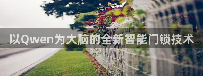 金年会体育在线登录：以Qwen为大脑的全新智能门锁技术