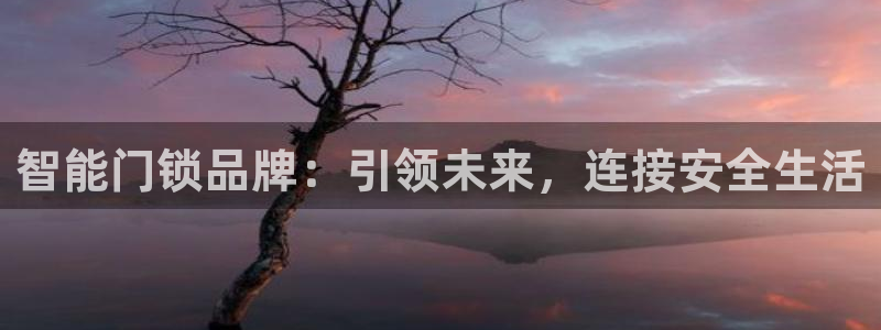 金辉城年会视频：智能门锁品牌：引领未来，连接安全生活