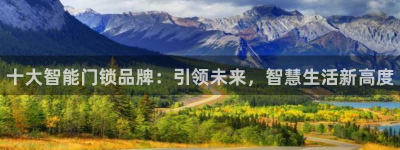 宝金年会：十大智能门锁品牌：引领未来，智慧生活新高度