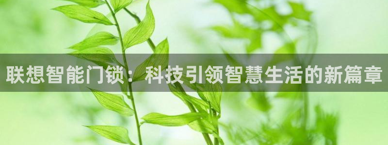 金年会app在线：联想智能门锁：科技引领智慧生活的新篇章
