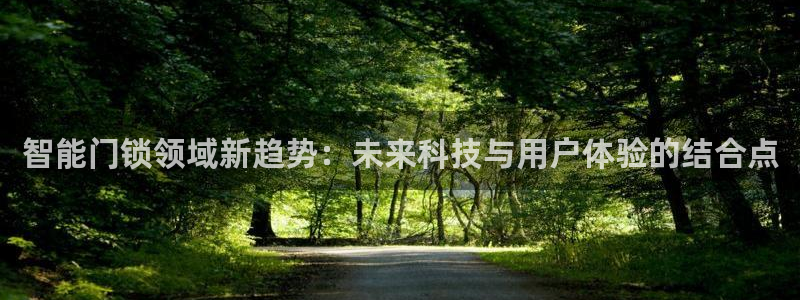 宝金年会：智能门锁领域新趋势：未来科技与用户体验的结合点