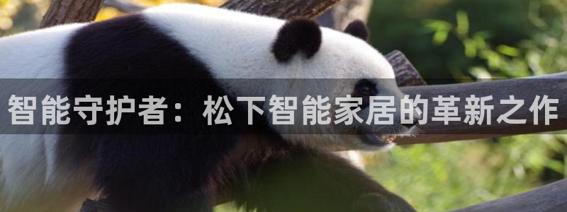 金年会 平台：智能守护者：松下智能家居的革新之作