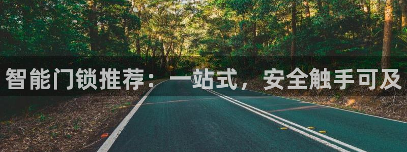 金年会金字招牌：智能门锁推荐：一站式，安全触手可及