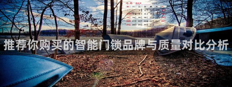 金年会体育平台入口：推荐你购买的智能门锁品牌与质量对比分析