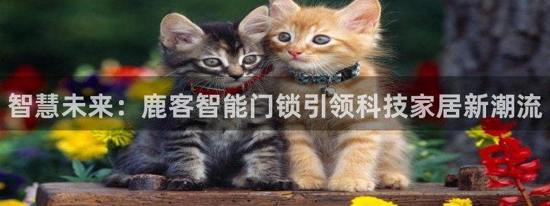 金年会官网app：智慧未来：鹿客智能门锁引领科技家居新潮流